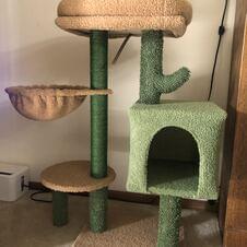 Kitty Tower, House & Sophresh Litter Box w/privacy door and scooper 