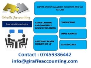 Giraffe Accounting 