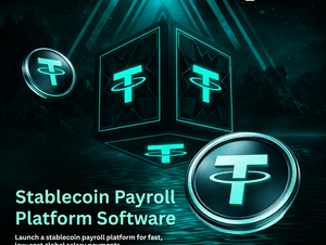 Stablecoin Payroll Platform Software - Launch Payroll System in 10 Days