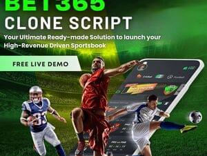 Score Big in Sports Betting Market With Bet365 Clone Script