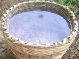 chief Dr Faleke Fayemi Spiritual Helper Temple Via +2349069124545 For More Info.