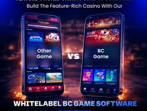 BC Clone App to Kickstart Your Crypto Casino Startup Journey